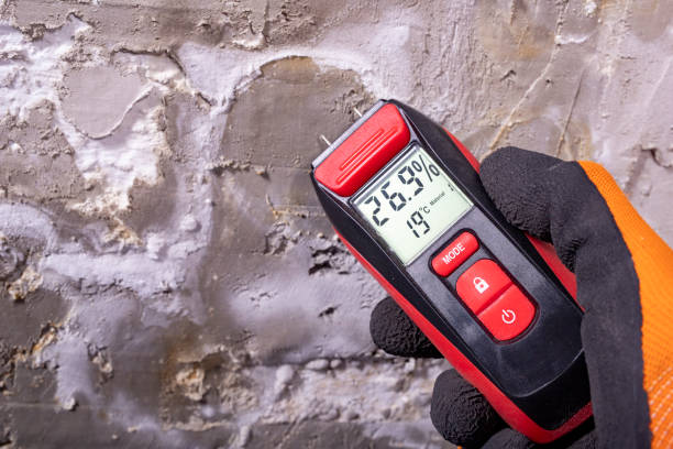 Best Home Mold Removal  in Brownsboro, TX