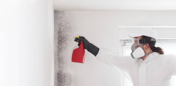 Best Crawl Space Mold Removal  in Brownsboro, TX