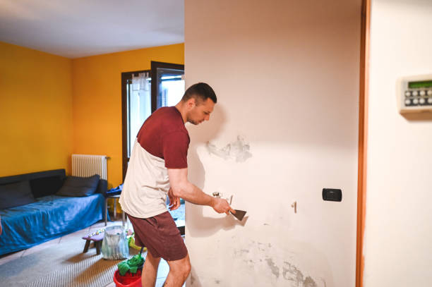 Best Fast Mold Removal  in Brownsboro, TX