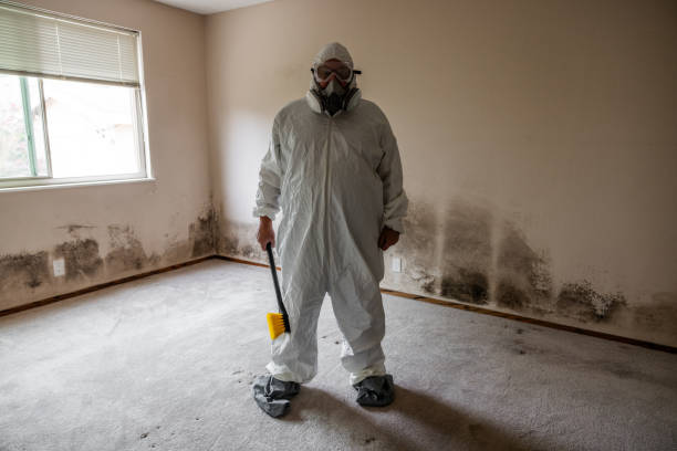 Best Mold Testing  in Brownsboro, TX