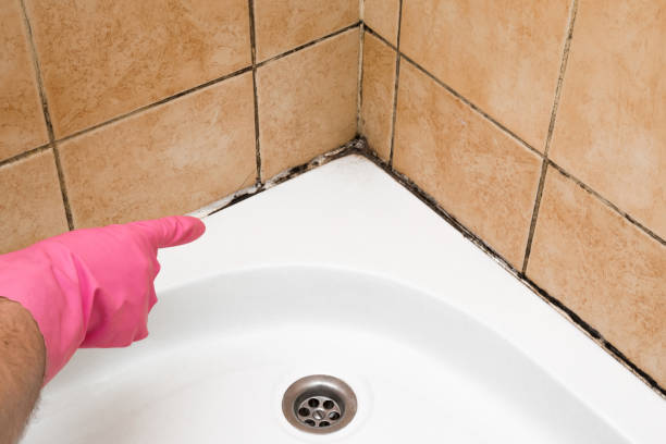 Best Local Mold Removal Service  in Brownsboro, TX
